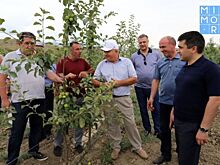 Руководство Минсельхоза Дагестана посетило фермерские хозяйства Табасаранского района