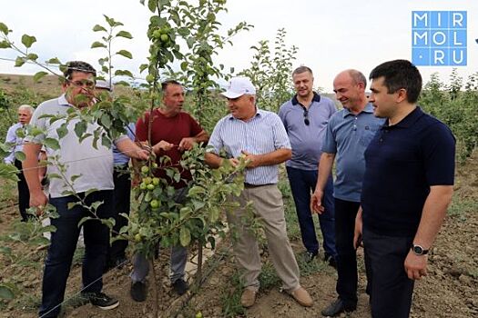 Руководство Минсельхоза Дагестана посетило фермерские хозяйства Табасаранского района