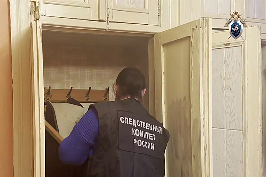 Серийный убийца из Подмосковья был разоблачен после кражи сумки с продуктами