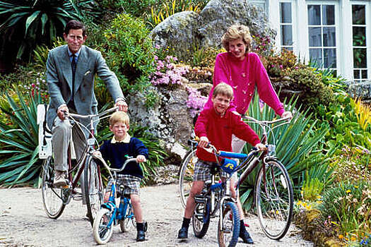 Принц Гарри до сих пор сомневается в "необъяснимой" смерти принцессы Дианы