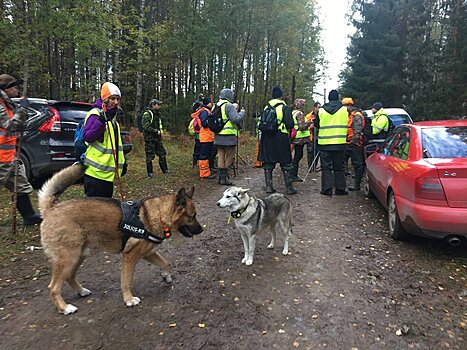 Пропавший в лесу пожилой нарвитянин мог быть спасен, утверждают добровольцы