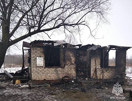 В Ртищевском районе мужчина погиб при ночном пожаре в деревянном доме