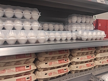 В Самаре впервые в России добровольно сдержат цены на яйца