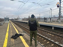 Пассажирский поезд переехал женщину в Нижегородской области