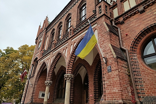 Военная помощь от Латвии превратилась в товар на украинских интернет-площадках