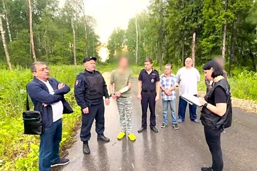 Арестован подросток, напавший на девочек с молотком