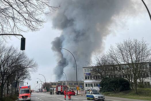Стало известно о ядовитом облаке дыма в Германии после пожара