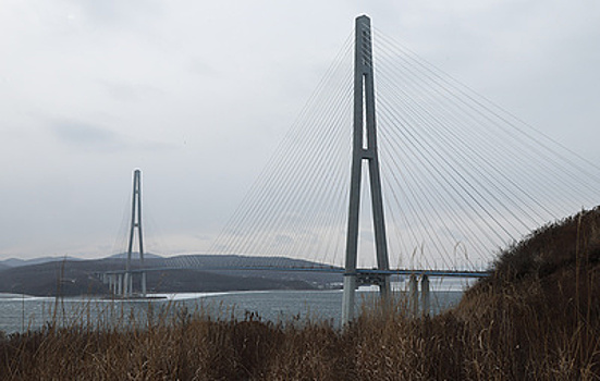 Во Владивостоке зафиксировали порывы ветра до ураганных значений