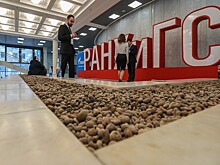 На Гайдаровском форуме подведут итоги десятилетия БРИКС