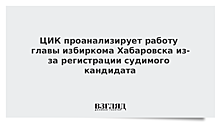 ЦИК проанализирует работу главы избиркома Хабаровска из-за регистрации судимого кандидата