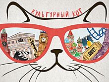 «Серебряный Дождь» запустил  программу «Культурный Кот»