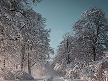 Самые важные события минувшего дня: дайджест новостей за 20 февраля