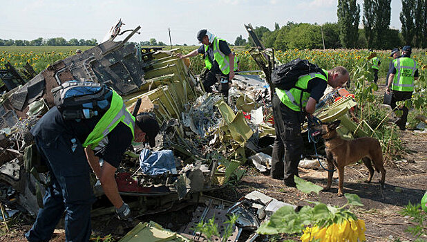 В Германии раскритиковали идею создания трибунала по крушению MH17