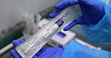 Le Figaro (Франция): Россия тоже запирается на фоне эпидемии коронавируса
