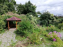 Земельные участки подорожали на большинстве направлений Подмосковья