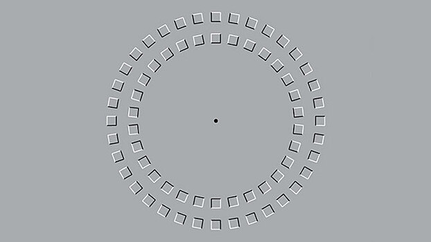 Оптическая иллюзия вызывает «зависание мозга»