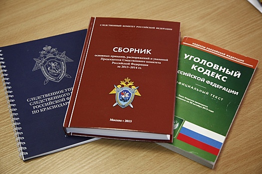 СК предъявил обвинение хозяину собак, изуродовавших ребенка в Сочи