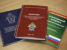 СК предъявил обвинение хозяину собак, изуродовавших ребенка в Сочи