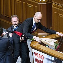 Столицу Бельгии внезапно заполонили фотографии самых эпичных драк в украинском парламенте