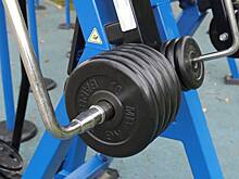 Спортивные площадки станут комфортными многофункциональными пространствами