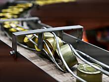 В России изъяли почти 200 тонн ставшей причиной ботулизма продукции