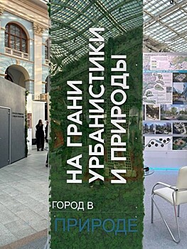 На грани урбанистики и природы: Донской регион презентовал проекты застройки столицы области на выставке Союза архитекторов России