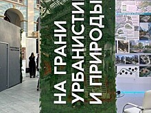 На грани урбанистики и природы: Донской регион презентовал проекты застройки столицы области на выставке Союза архитекторов России