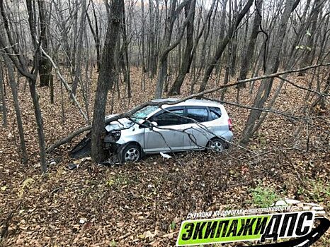 В Приморье легковушка «слетела» с дороги и врезалась в дерево