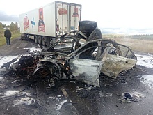 В ДТП с фурами на трассе М5 "Урал" погибли три человека