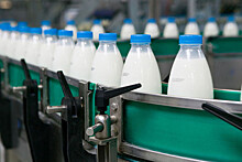 Глава "Союзмолоко" сообщил, что Россия через четыре года станет самообеспеченной по молоку