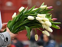 Синоптик рассказал о погоде в Москве на 8 марта