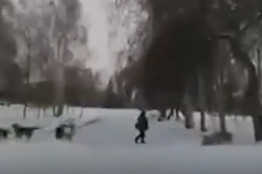 В Омске водитель на машине заехал в парк, чтобы спасти ребенка от собак