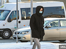 Вирусолог Аграновский: после новогодних праздников эпидемия гриппа пойдет на спад