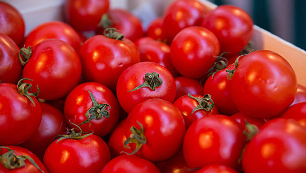 Ученые выяснили, почему помидоры становятся невкусными в холодильнике