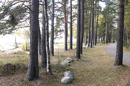 Новый экомаршрут соединит Санкт-Петербург и Ленобласть