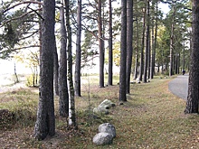 Новый экомаршрут соединит Санкт-Петербург и Ленобласть