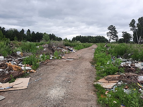 ОНФ в Томской области обратил внимание властей на ликвидацию стихийных свалок в населенных пунктах