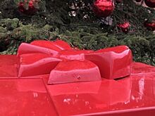 Эксперты рассказали, как встретить Новый год без финансовых потерь