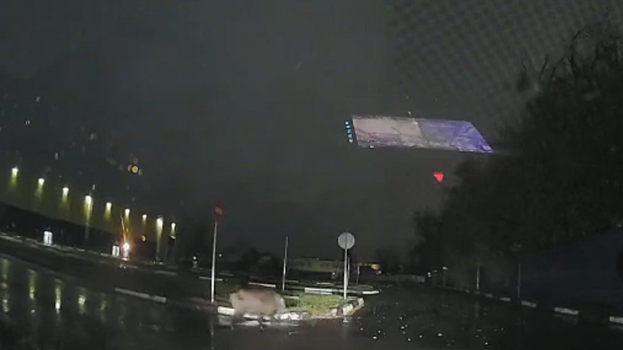 Рядом с гипермаркетом в Балакове заметили кабана