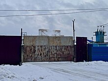 Жители городского округа Пушкинский требуют у властей Подмосковья чистого воздуха