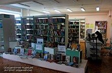 Библиотека района провела обзор книжно-иллюстративной выставки