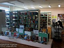 Библиотека района провела обзор книжно-иллюстративной выставки
