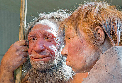 Британский ученый вычислил калорийность неандертальца