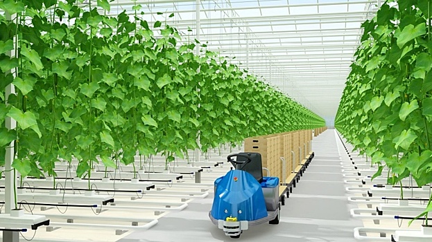 В Прикамье построят крупный агрокомплекс, где будут выращивать экологически чистые овощи и зелень