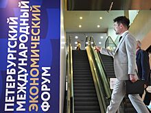 В Петербурге к ПМЭФ высадили более 300 тыс. однолетних цветов