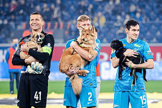 Футболисты «Зенита» вышли на поле с бездомными щенками, акция разлетелась по миру, что думают об этом в других странах
