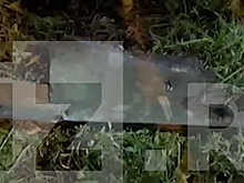 СМИ опубликовали новые кадры с места падения беспилотника в Красногорске