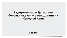 Задержанные в Дагестане боевики оказались выходцами из Средней Азии