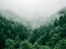 Самые необычные находки кузбасских шахтеров