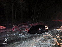 На трассе в Скопинском районе иномарка влетела КамАЗ